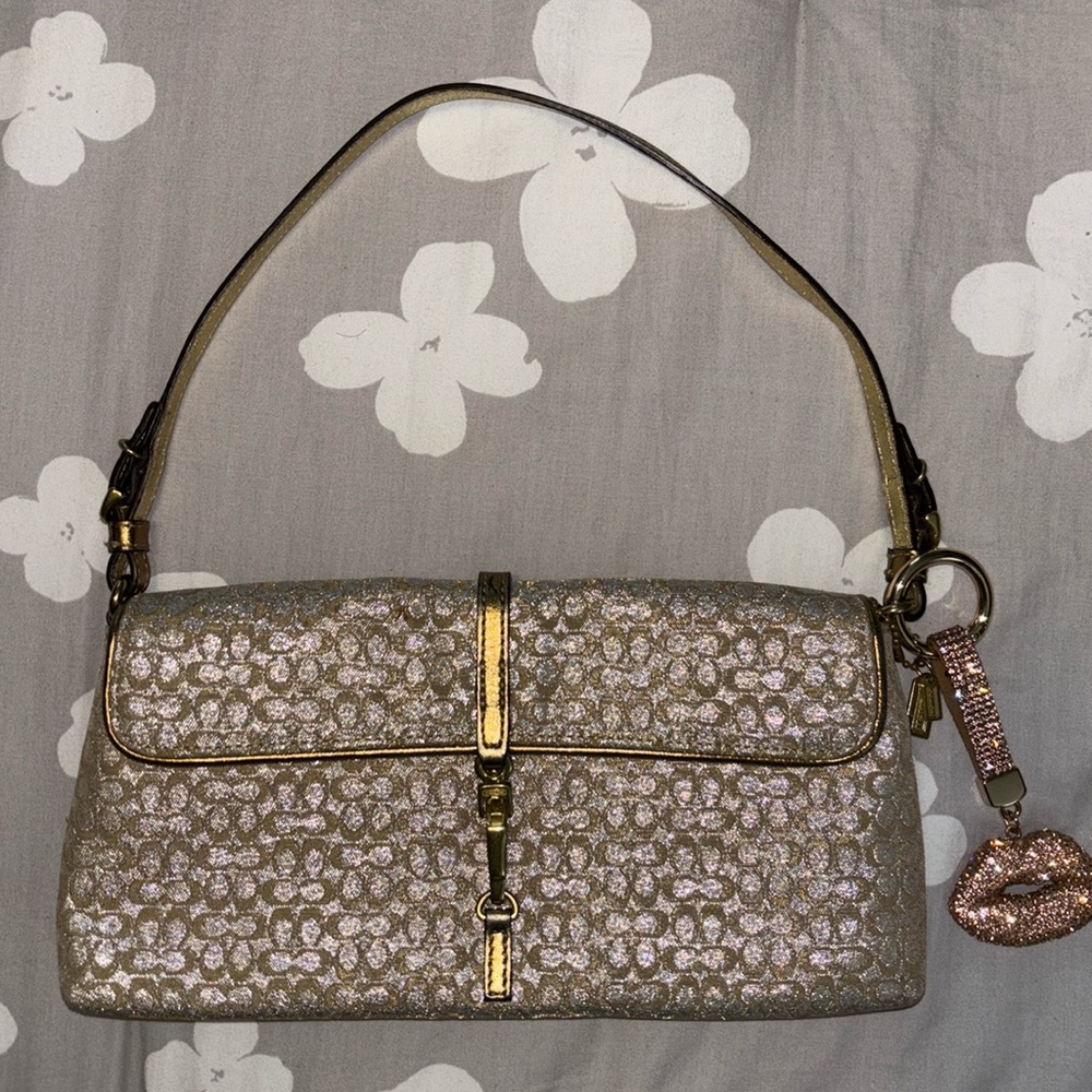 💝 Rare Vintage y2k Shimmer Coach Hampton 💝